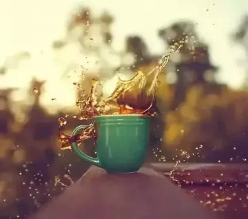 不会体谅人的句子文案说说