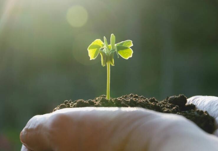 珍惜生命感恩生活的句子文案