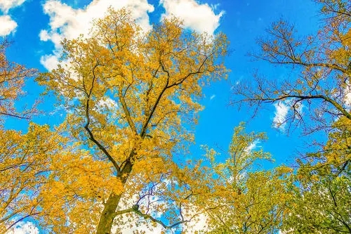 唯美温柔的句子文案摘抄