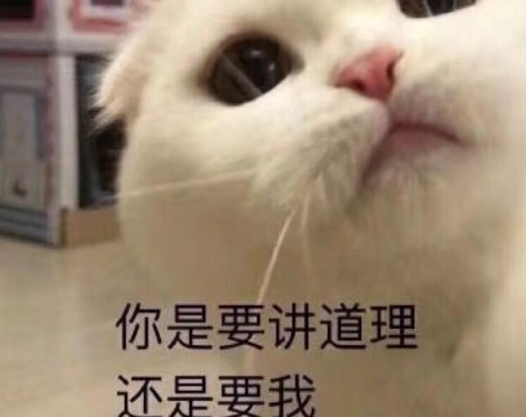 描述自己像要饭的句子文案