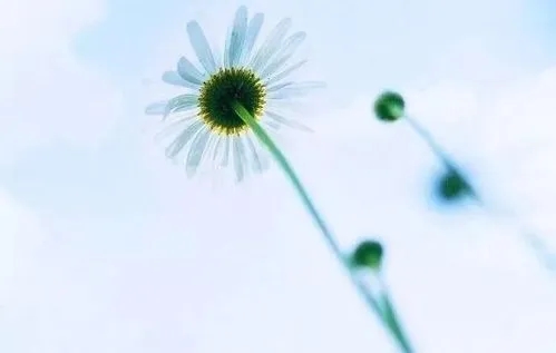 给生活一点甜句子文案