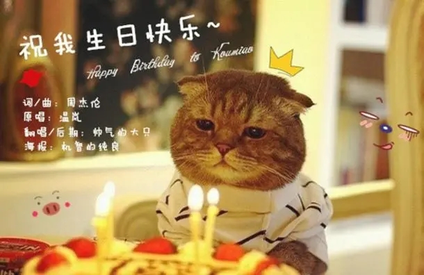 形容生日的句子文案唯美