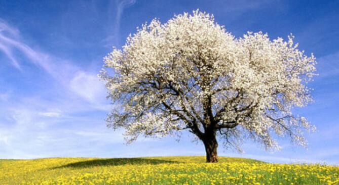 竞聘引用的名人名言