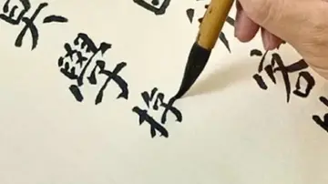 比喻共同进步的诗句文案