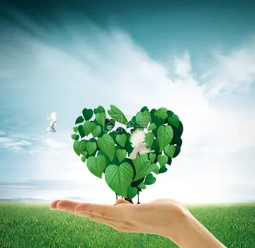 抖音大自然文案