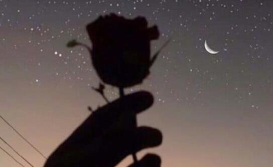 服装上新的句子文案