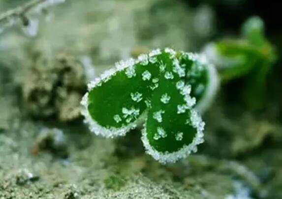 信任的句子文案经典语录