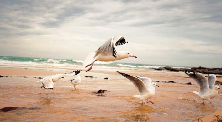 情侣聊天套路大全撩人