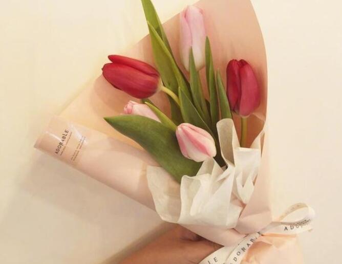 教师节语录文案短句