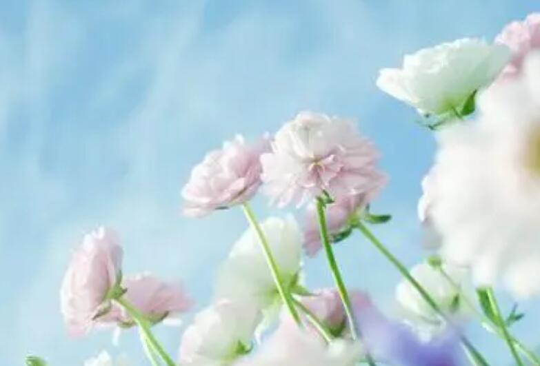 好听唯美的短句