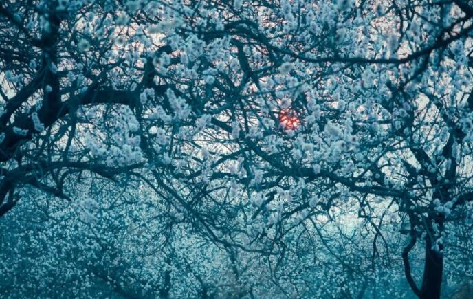 好词佳句摘抄480个短