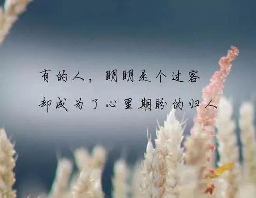 遇到挚友的句子文案