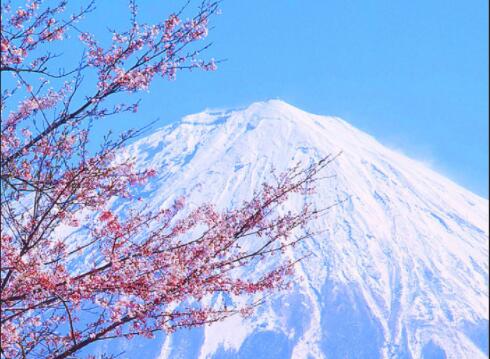 英语经典语录文案及翻译