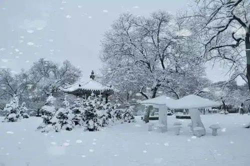 冬景赏析句子文案