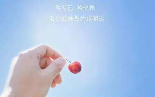 每天正能量的一句话