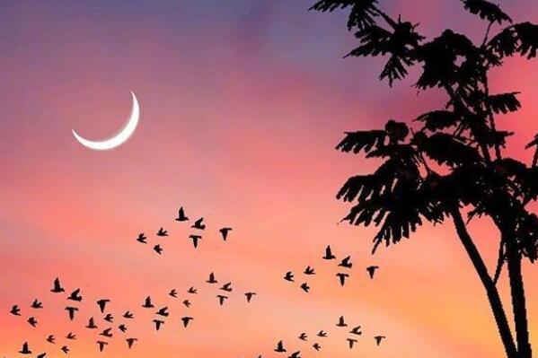 关于梦想的励志句子文案