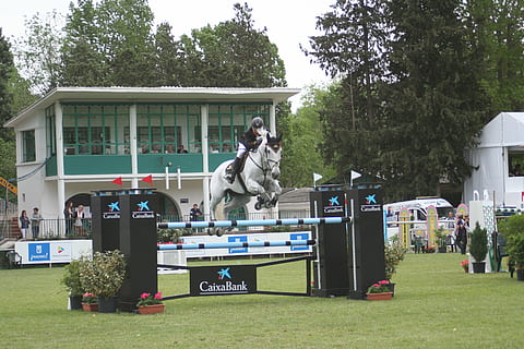 关于爱情简短的一句话