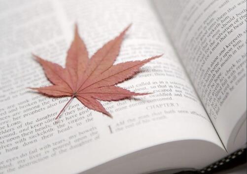 精彩句子文案摘抄大全