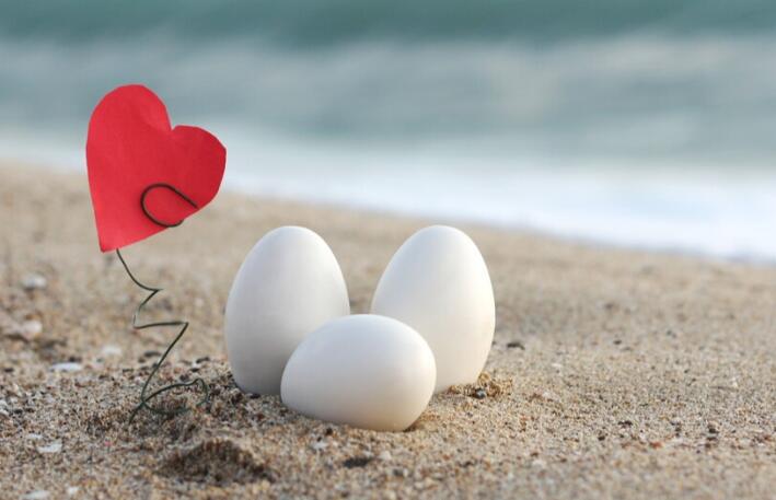 最好的爱情句子文案短句