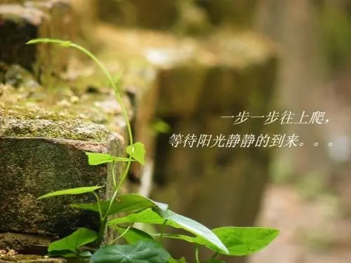 霸气的句子文案唯美短句子文案