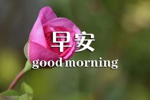 早晨微信祝福问候语