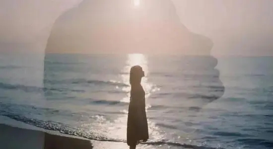 白日梦我小说的经典语录文案摘抄