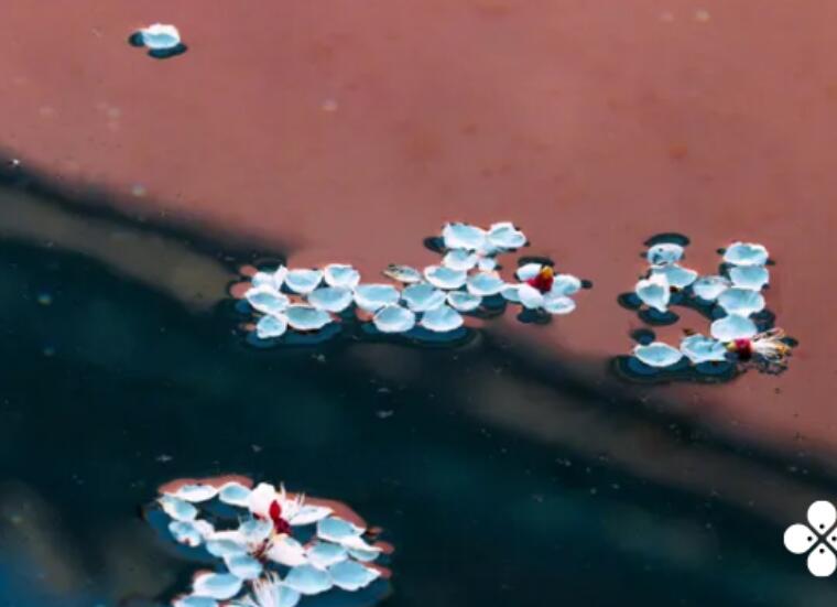 适合发说说的古风句子文案伤感