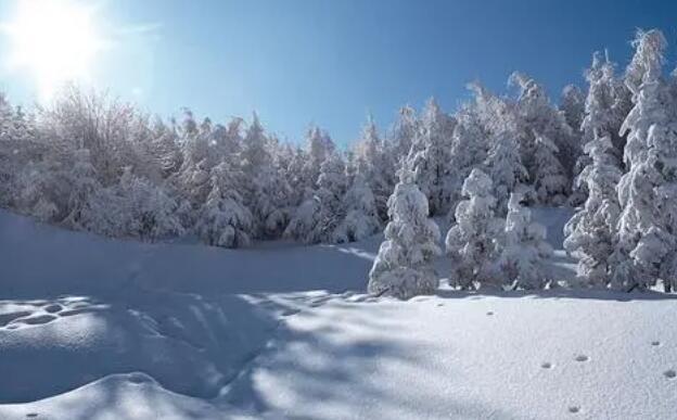 摘抄描写冬天美景的句子文案