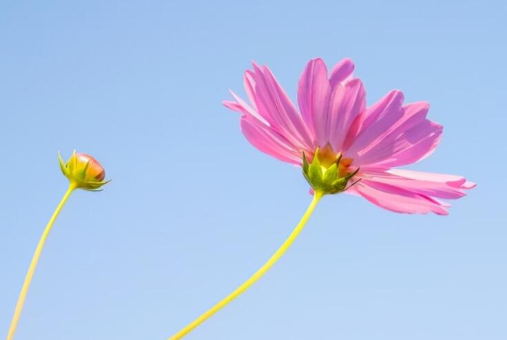 快手励志句子文案最热2024