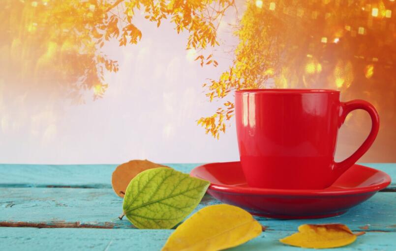 适合发早安的正能量简短句子文案