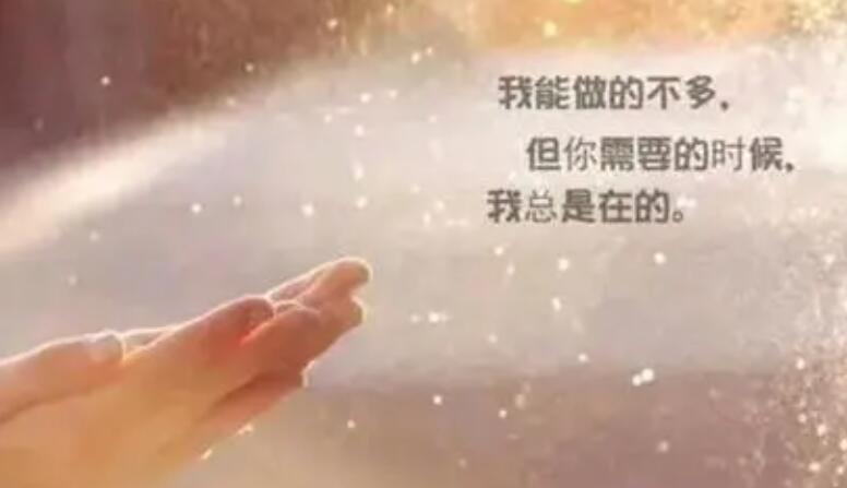 我终于学会了放手经典句子文案