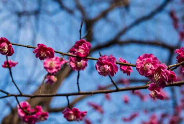 无助又必须坚强的句子文案