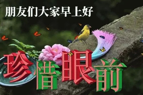 2024年最温馨的朋友早安问候