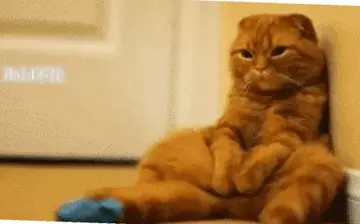 整天呆在家无聊说说文案