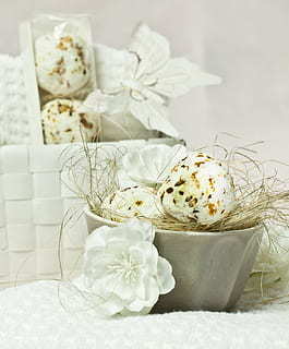 竖排日期怎么写 竖版年月日小写怎么写