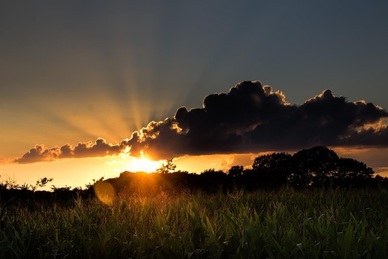 双的繁体字写法 双的繁体字有几种写法