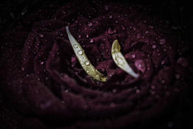 朋友离婚了唱什么歌 关于离婚悲伤的歌曲