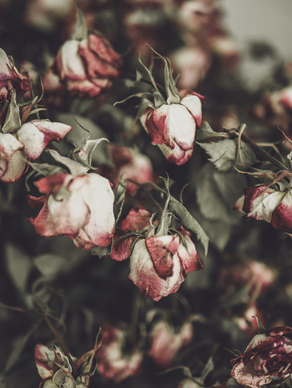 最简单的生日邀请短信 生日邀请短信怎么写？