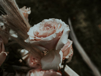 最适合结婚唱的歌 适合结婚唱的歌