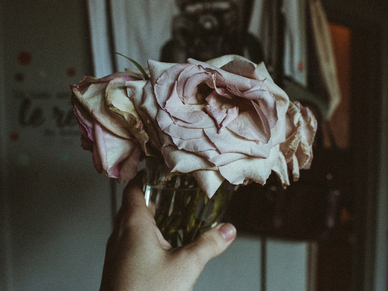 不去婚礼随礼366少吗 朋友结婚给份子钱366可以吗?