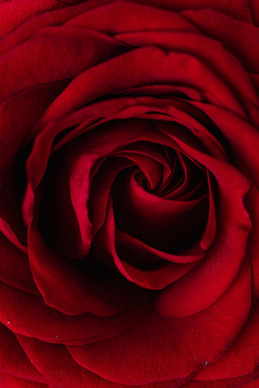 大型泡沫积木城堡 迪士尼城堡积木教程