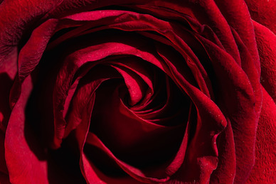 结婚席位牌摆放顺序 席位牌摆放顺序是什么？