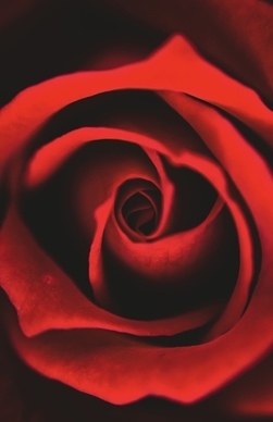 电子版生日邀请函免费 生日邀请函