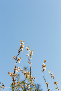 已故老人的死亡证明去哪里开 老人在家中死亡,死亡证明由哪里开