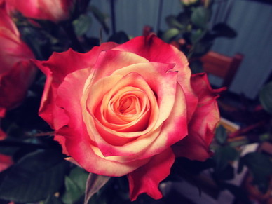 宅家拍照姿势图片 闲暇在家自拍时,都有哪些姿势更上镜?