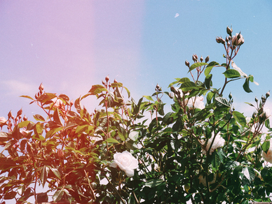 结婚男方的西装是女方买吗 新郎的西服由谁买？