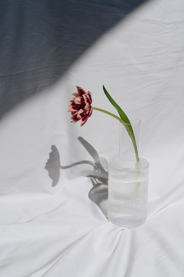 儿童红裙子配什么鞋子 幼儿小主持红裙搭什么颜色的鞋