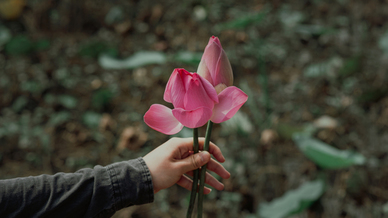 常州思维婚庆公司 开办婚庆礼仪公司需要哪些程式？