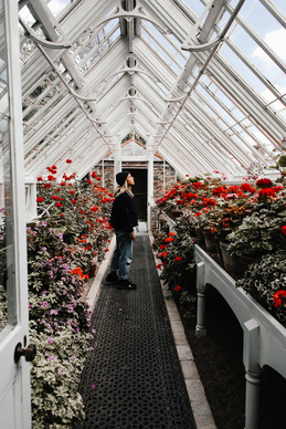 山西送礼送几样 山西特产送礼物有什么推荐?