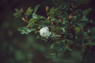 科目三模拟灯光讲解 科目三考试灯光操作方法